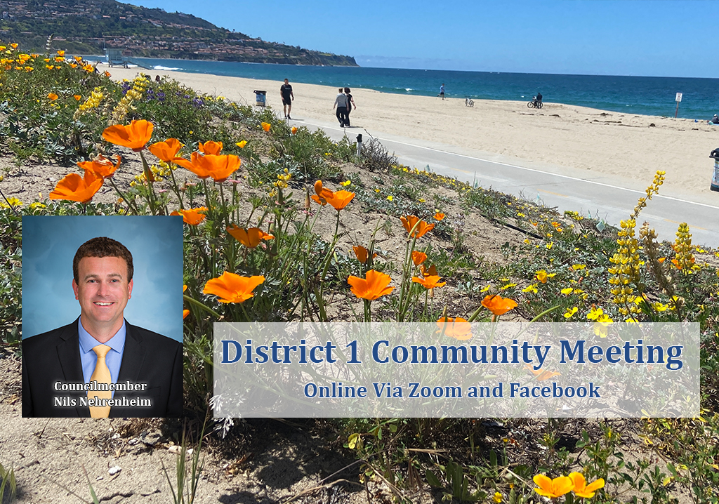 Online Community Meeting